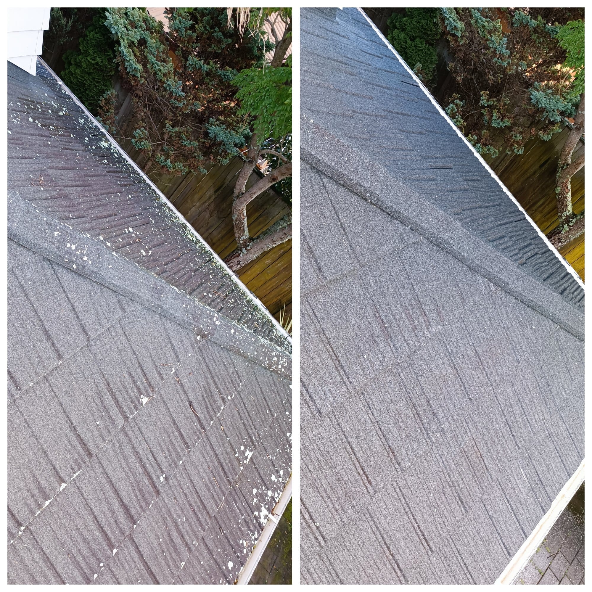 Roof Treatment