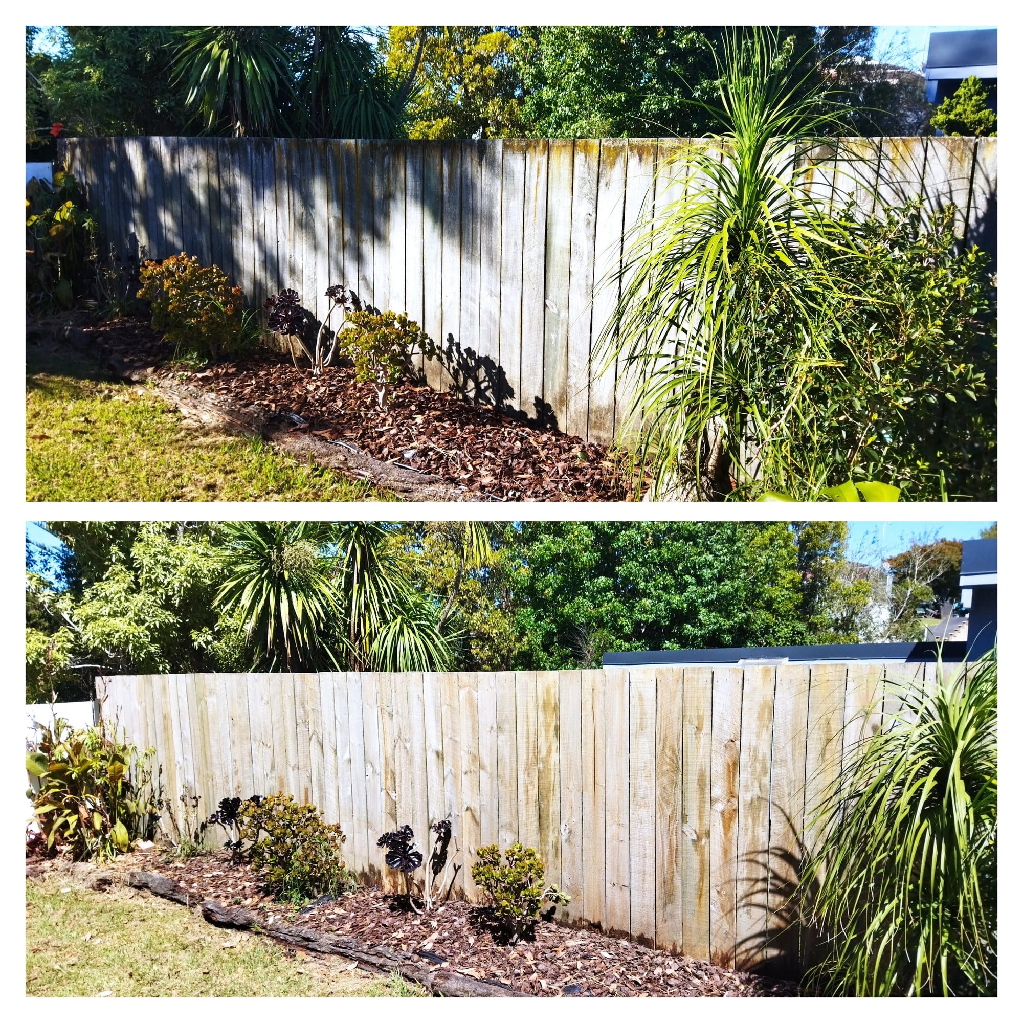 Fence Cleaning
