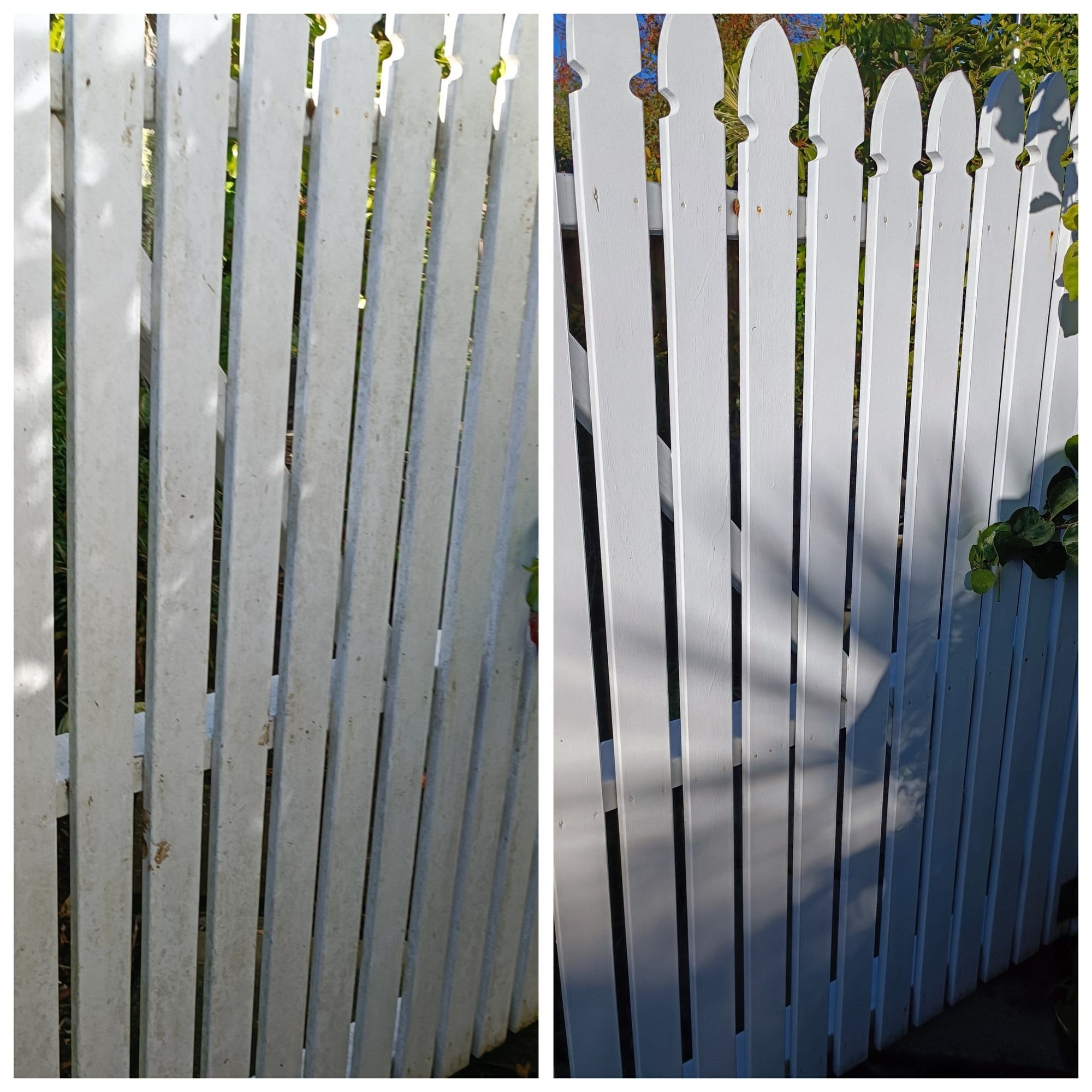Fence Cleaning