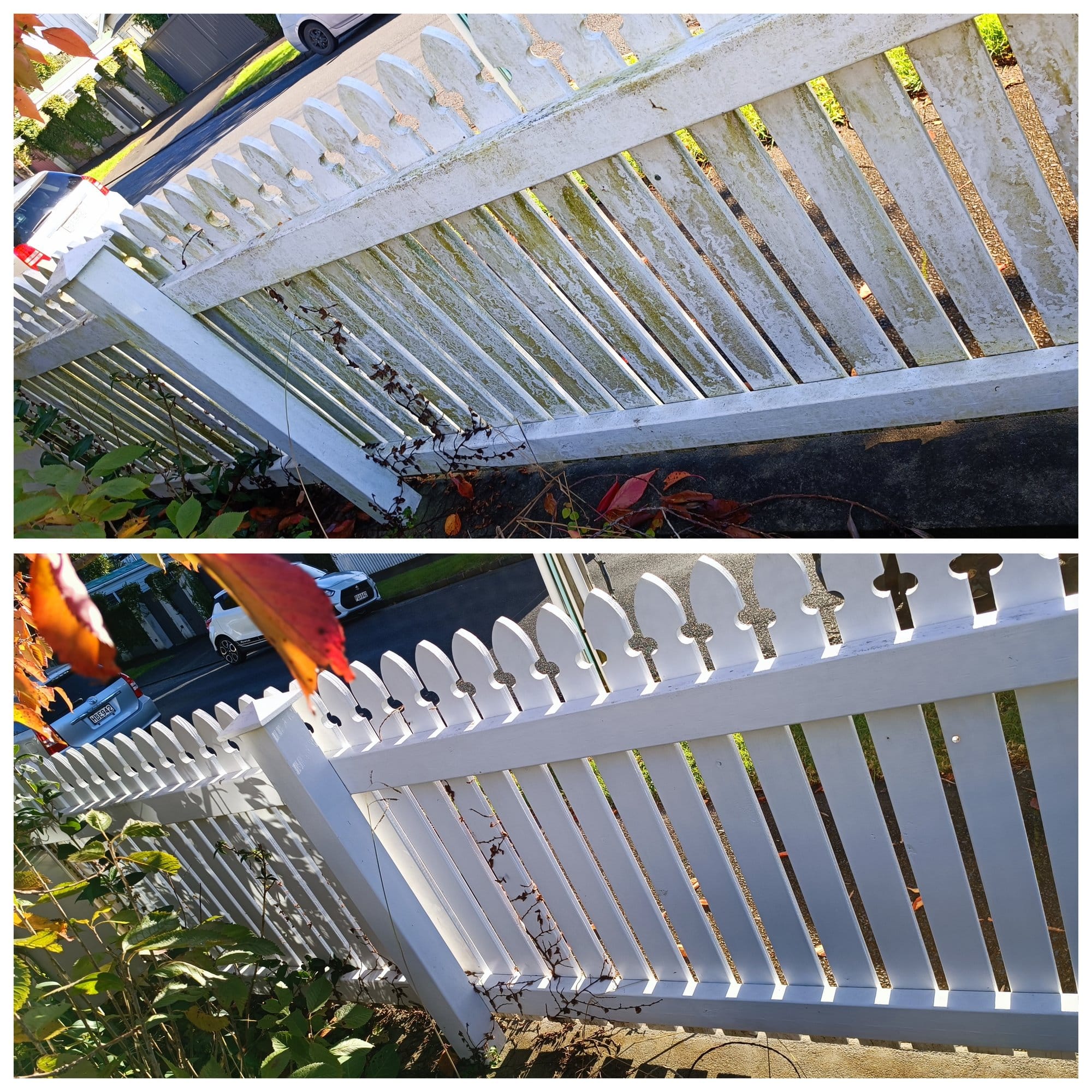 Fence Cleaning