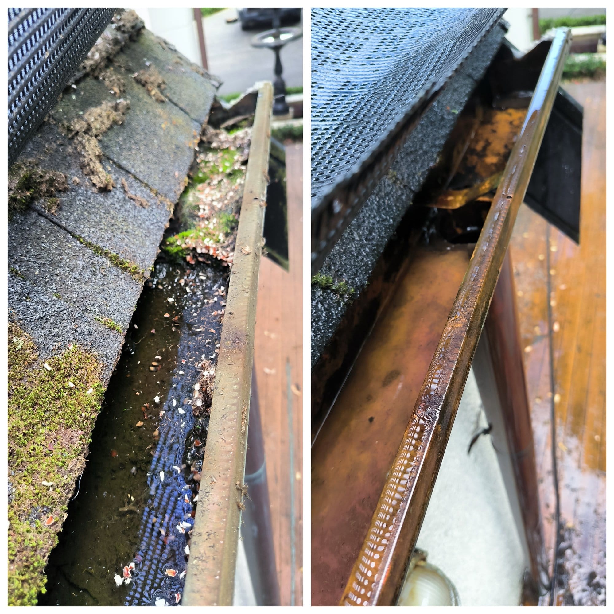 Gutter Cleaning