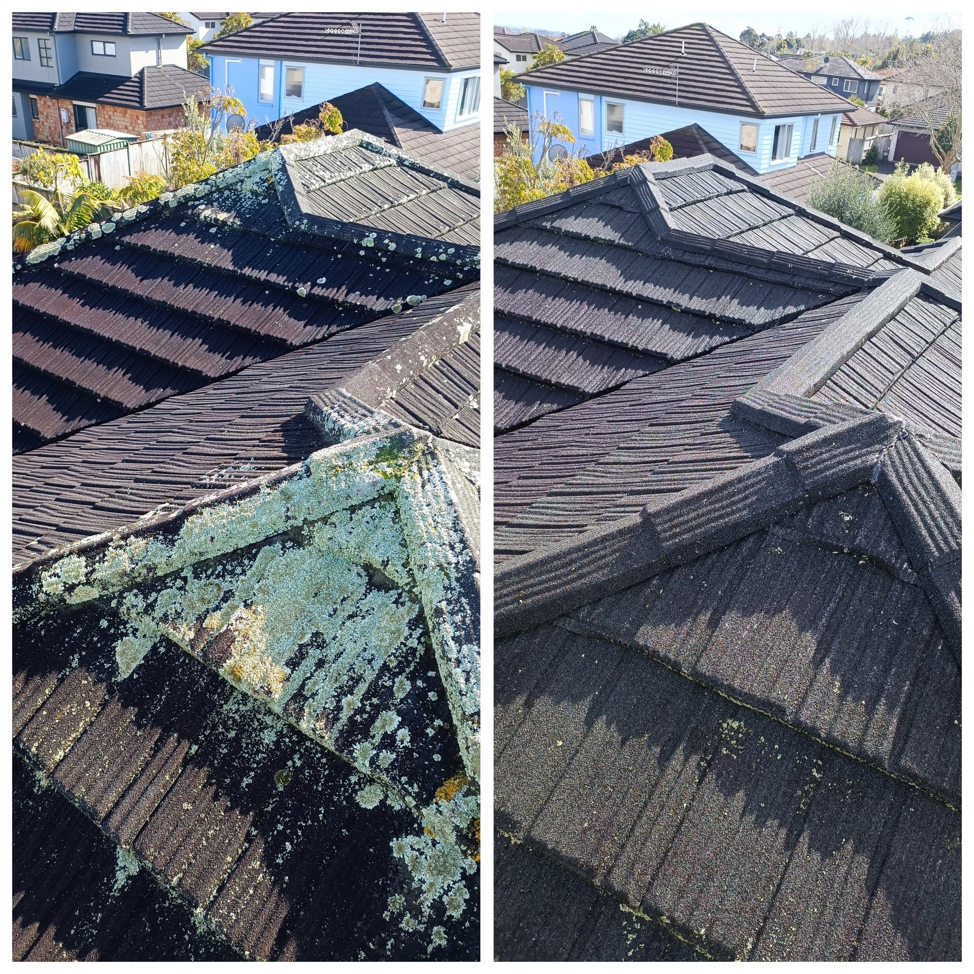 Roof Treatment